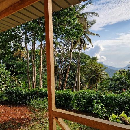 World'S View Wild Camping Salaszoi, Principe Island Santo António Esterno foto
